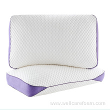 Memory cotton chip pillow With an Inner Liner
